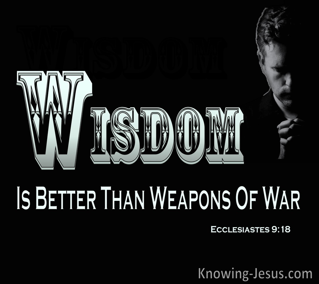 Ecclesiastes 9:18 Wisdom Is Better Than Weapons Of War (black)